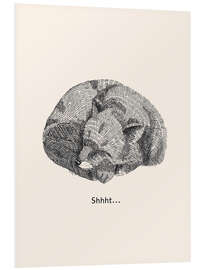 Quadro em PVC Shhht! - Sleeping Fox