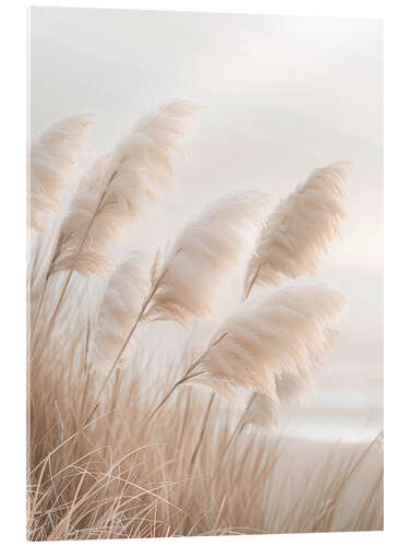 Acrylic print Pampas Grass Poetry by the Sea