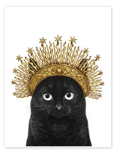 Póster Queen of black cats