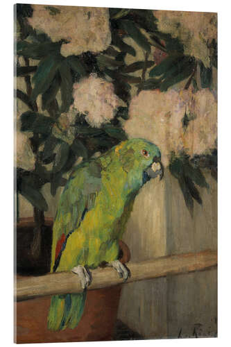 Acrylic print Green parrot in front of azalea flowers - Leo von König, 1908