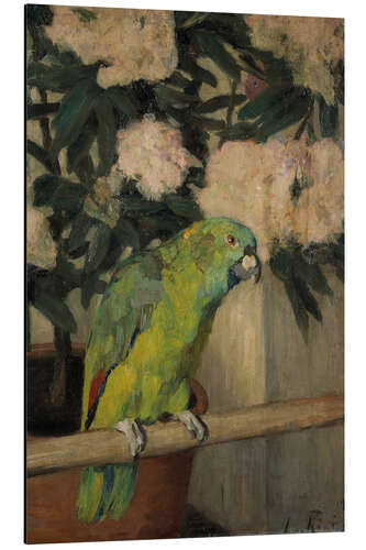 Cuadro de aluminio Green parrot in front of azalea flowers - Leo von König, 1908