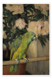 Plakat Green parrot in front of azalea flowers - Leo von König, 1908