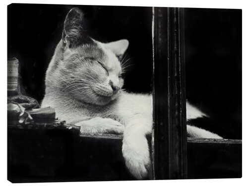Obraz na płótnie Cat behind the Window, 1930