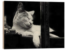 Wood print Cat behind the Window, 1930 - Aenne Biermann