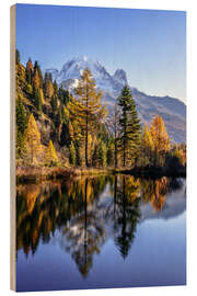Trebilde Autumn on the Mont Blanc massif, Chamonix, France