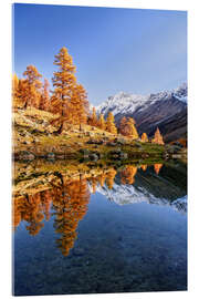 Acrylic print Autumn in the UNESCO World Heritage Lötschental, Switzerland - Achim Thomae