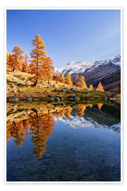 Tavla Autumn in the UNESCO World Heritage Lötschental, Switzerland - Achim Thomae