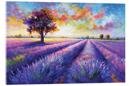 Acrylic print Colourful lavender field landscape