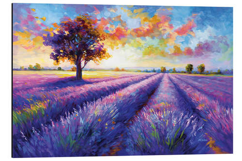 Obraz na aluminium Colourful lavender field landscape