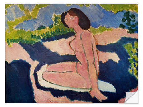 Självhäftande poster Nu assis (Seated Nude), 1909