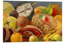 Quadro em acrílico Still Life with Parrot and Flag