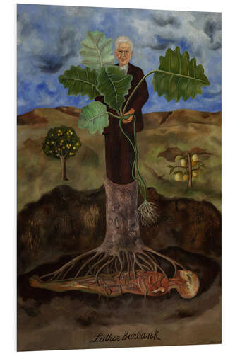 Foam board print Portrait of Luther Burbank
