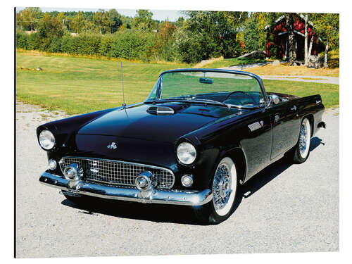 Aluminium print 1955 Ford Thunderbird Convertible I