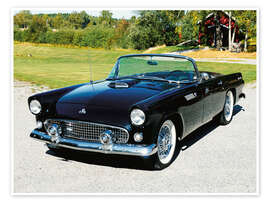 Wall print 1955 Ford Thunderbird Convertible I - American Cars 1920 - 2020