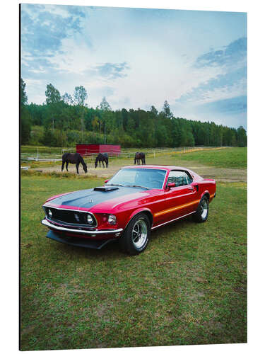 Alubild 1969 Ford Mustang Mach1 Coupé I