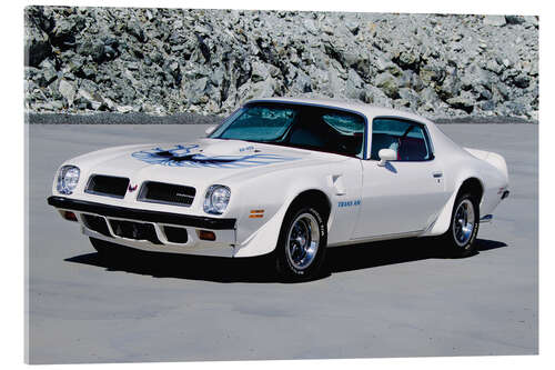 Akrylbillede 1974 Pontiac Firebird Trans Am Hardtop Coupé I