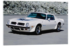Acrylglasbild 1974 Pontiac Firebird Trans Am Hardtop Coupé I - American Cars 1920 - 2020