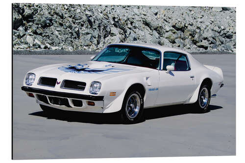 Tableau en aluminium 1974 Pontiac Firebird Trans Am Hardtop Coupé I
