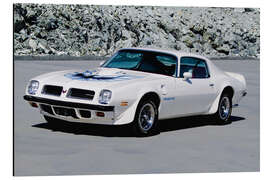 Tableau en aluminium 1974 Pontiac Firebird Trans Am Hardtop Coupé I - American Cars 1920 - 2020