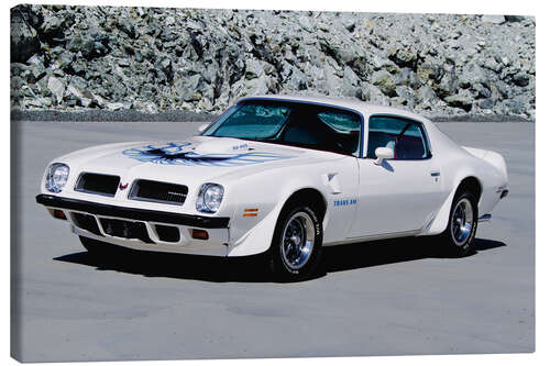 Canvas print 1974 Pontiac Firebird Trans Am Hardtop Coupé I