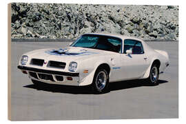 Cuadro de madera 1974 Pontiac Firebird Trans Am Hardtop Coupé I - American Cars 1920 - 2020