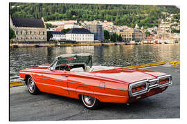 Cuadro de aluminio 1965 Ford Thunderbird Convertible II