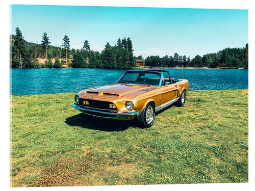 Akryylilasitaulu 1968 Ford Shelby Cobra GT 500 Convertible I