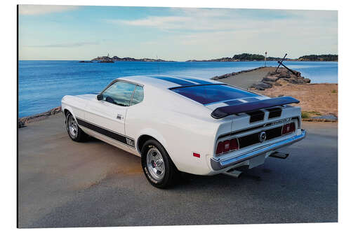 Alubild 1973 Ford Mustang Mach1 Fastback Coupé II
