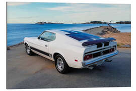 Tableau en aluminium 1973 Ford Mustang Mach1 Fastback Coupé II - American Cars 1920 - 2020