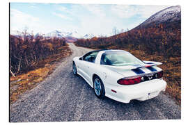 Alubild 1999 Pontiac Firebird Trans Am Coupé 30th Anniversary II - American Cars 1920 - 2020