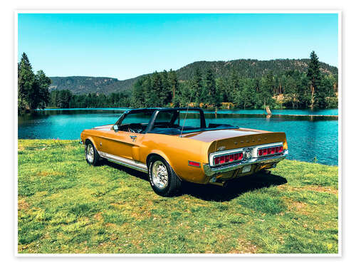 Plakat 1968 Ford Shelby Cobra GT 500 Convertible II