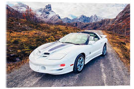 Akrylbillede 1999 Pontiac Firebird Trans Am Coupé 30th Anniversary I - American Cars 1920 - 2020