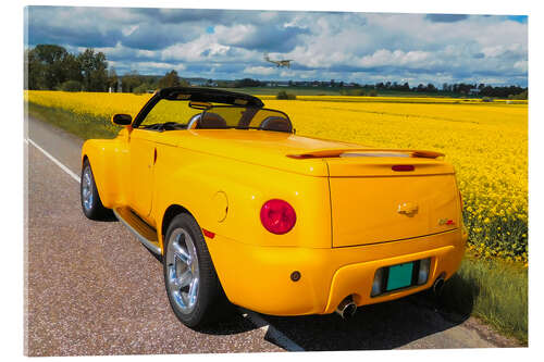 Akrylbillede 2003 Chevrolet SSR Pickup Roaster II
