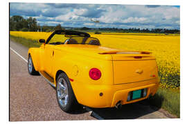 Tableau en aluminium 2003 Chevrolet SSR Pickup Roaster II - American Cars 1920 - 2020