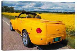 Lerretsbilde 2003 Chevrolet SSR Pickup Roaster II - American Cars 1920 - 2020