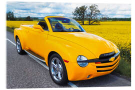 Acrylglasbild 2003 Chevrolet SSR Pickup Roaster I - American Cars 1920 - 2020