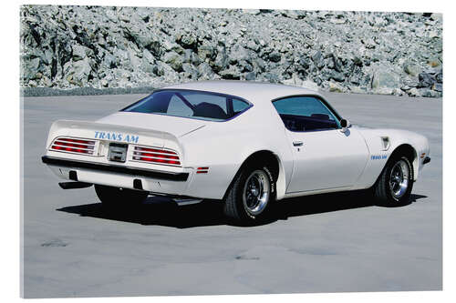 Stampa su vetro acrilico 1974 Pontiac Firebird Trans Am Hardtop Coupé II