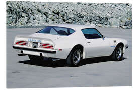 Stampa su vetro acrilico 1974 Pontiac Firebird Trans Am Hardtop Coupé II - American Cars 1920 - 2020