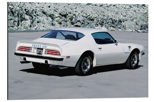 Tableau en aluminium 1974 Pontiac Firebird Trans Am Hardtop Coupé II