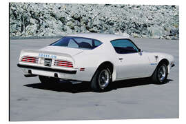 Tableau en aluminium 1974 Pontiac Firebird Trans Am Hardtop Coupé II - American Cars 1920 - 2020