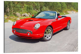 Cuadro de aluminio 2002 Ford Thunderbird Convertible I