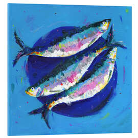 Acrylic print Sardines