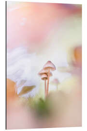 Aluminium print A wonderful autumn moment - Bob Daalder