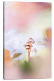 Canvas print A wonderful autumn moment - Bob Daalder