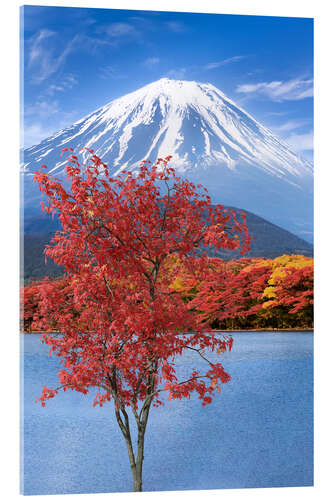 Acrylic print Fuji autumn impression at Shoji Lake