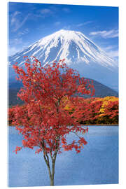 Acrylic print Fuji autumn impression at Shoji Lake - Melanie Viola