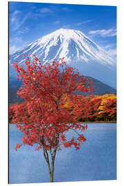 Alubild Fuji Herbstimpression am Shoji See - Melanie Viola