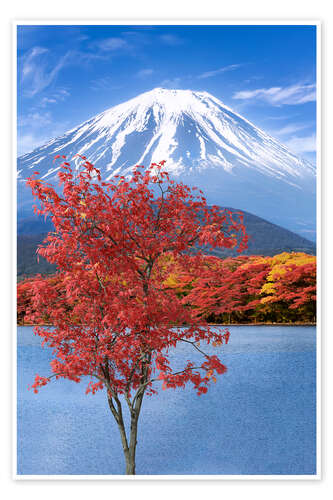 Poster Fuji autumn impression at Shoji Lake