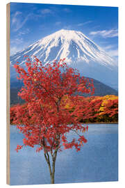 Holzbild Fuji Herbstimpression am Shoji See - Melanie Viola