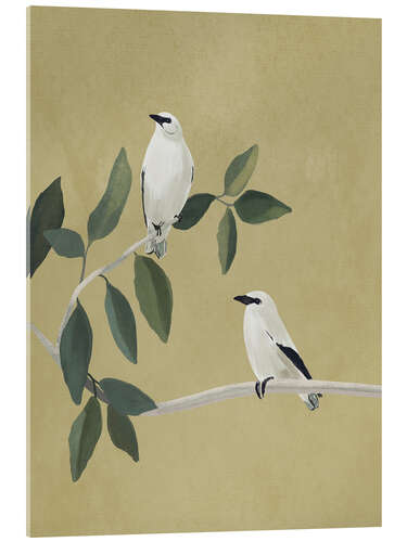 Acrylic print Minimalist Birds On Branch